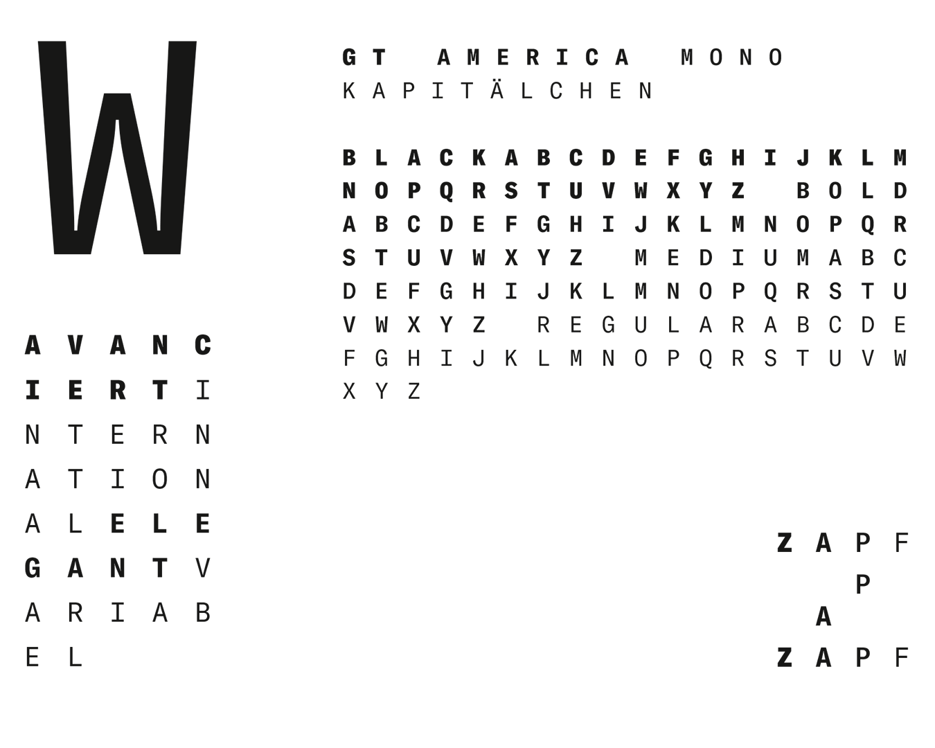 Typografische Details der Monospaced Schrift GT America. Groteskschrift, schwarz.